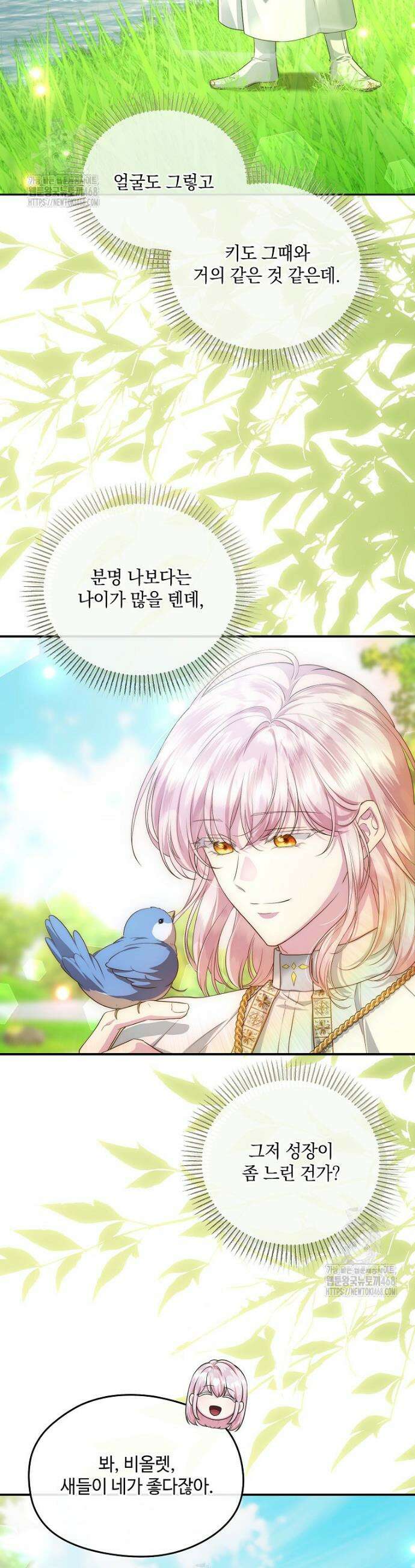 후원에 핀 제비꽃 70화 14