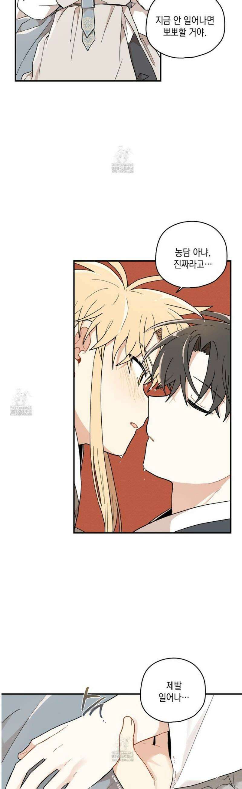 개나리가 떨어진 길 95화 11