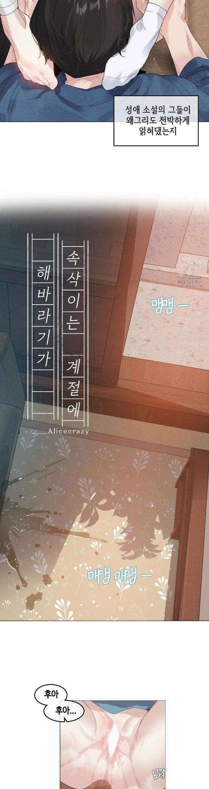 해바라기가 속삭이는 계절에 8화 7
