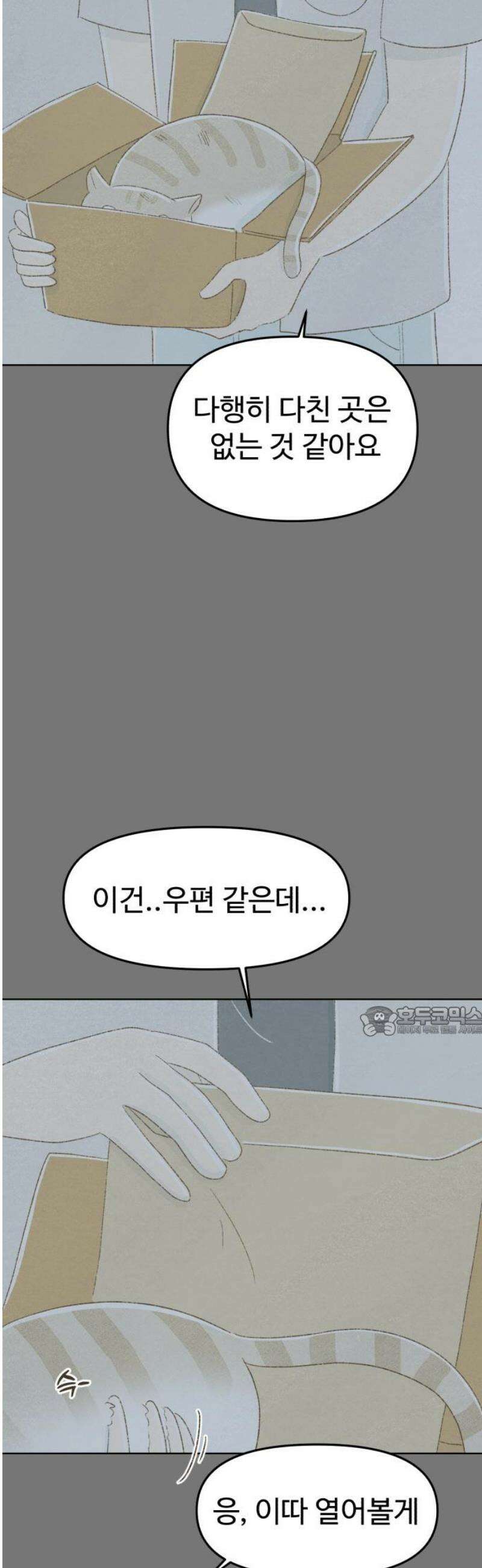 캠퍼스의 로망 33화 15