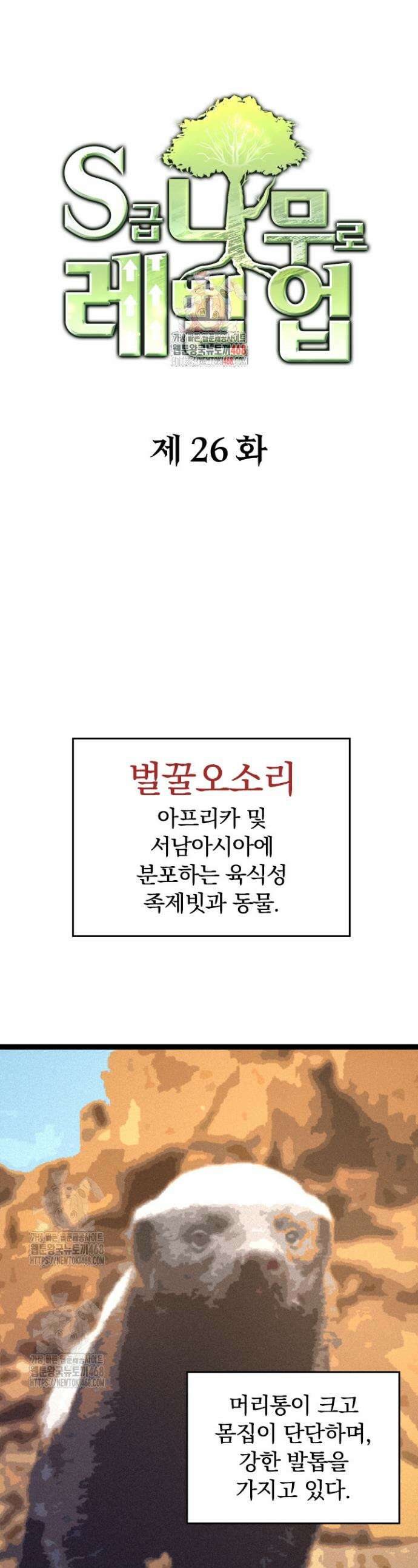 S급 나무로 레벨업 26화 1