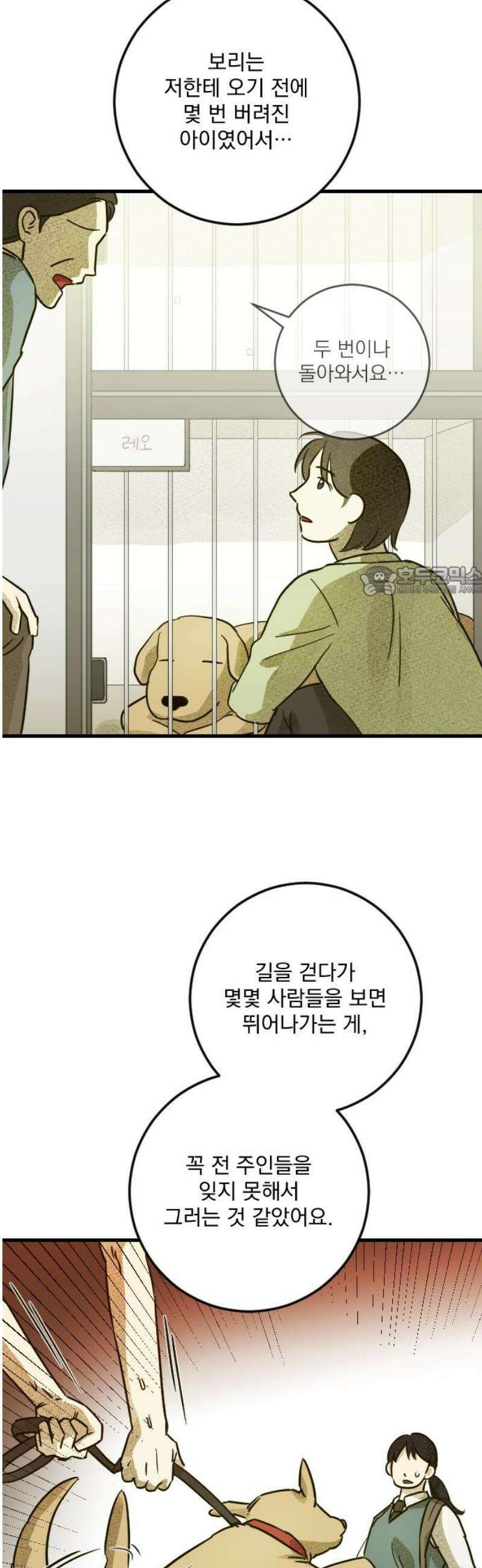 해가 드는 곳으로 5화 - 보리보리 쌀下 11