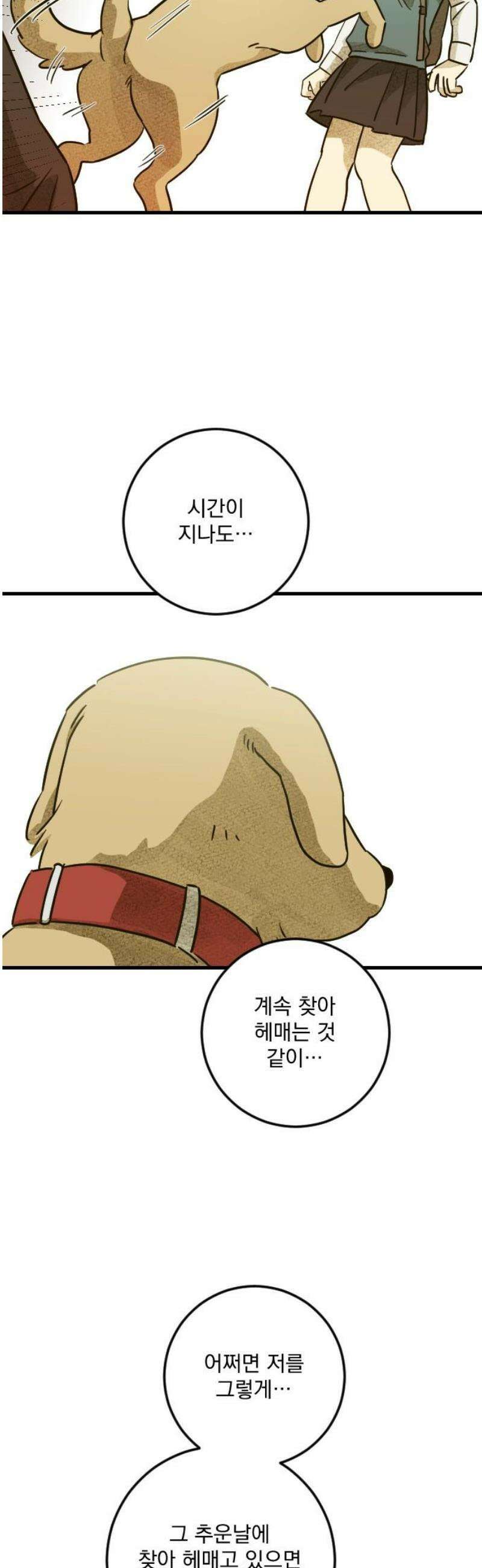해가 드는 곳으로 5화 - 보리보리 쌀下 12
