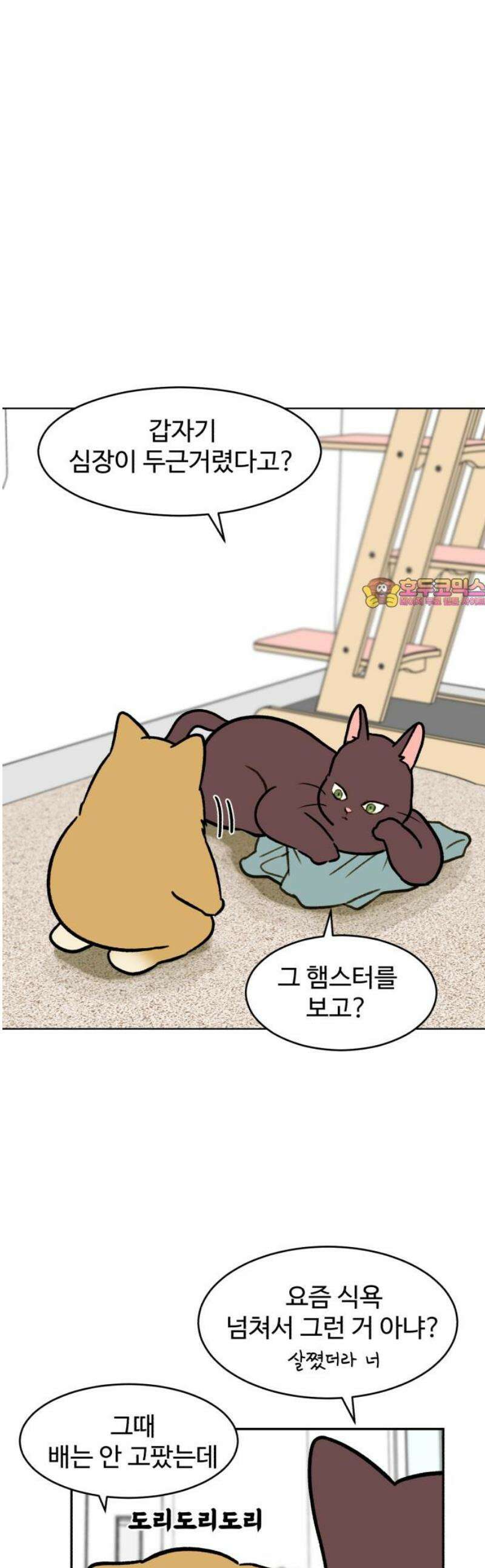 옹달샘 프로젝트 24화 나에게 반해봐 1