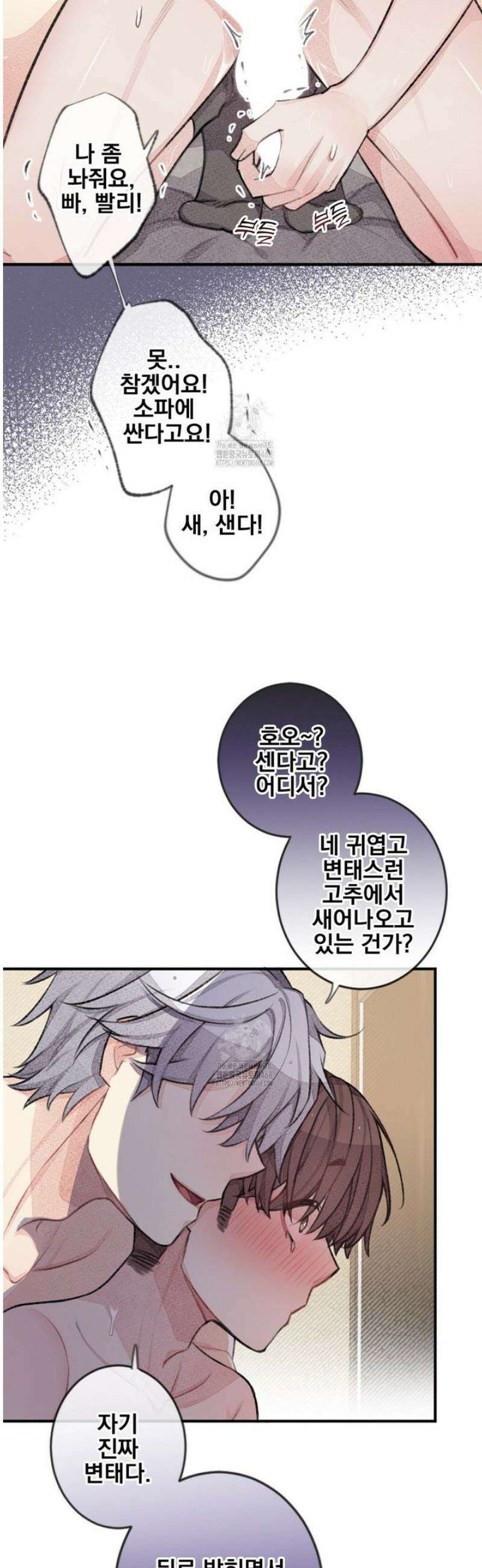 미스터 베타 98화 2