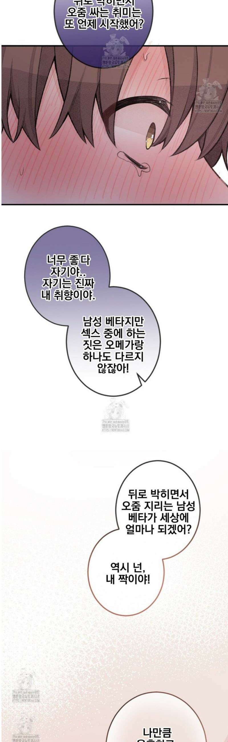 미스터 베타 98화 3