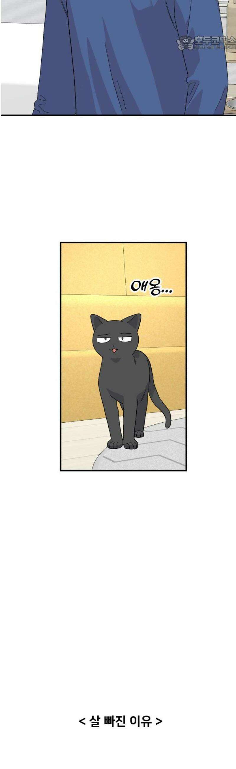 헬스x로맨스 77화 37