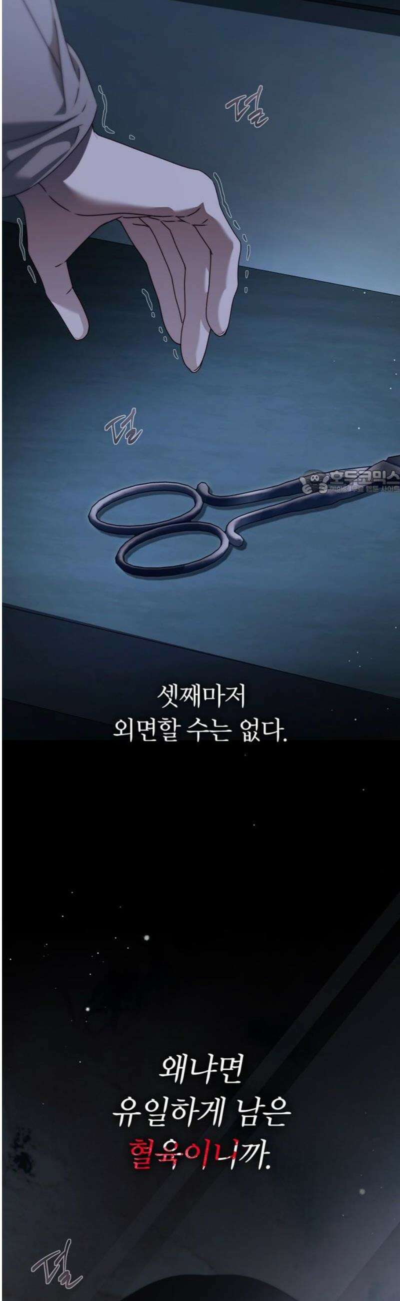 백작가의 비밀스런 시녀님 53화 11
