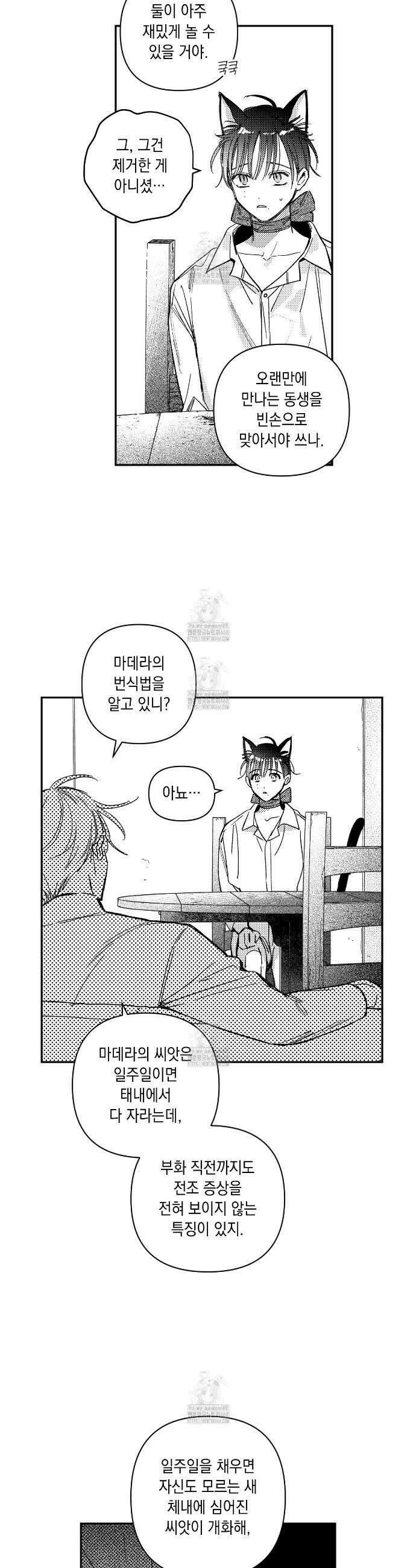 바다 밑 산호 속에는 38화 27