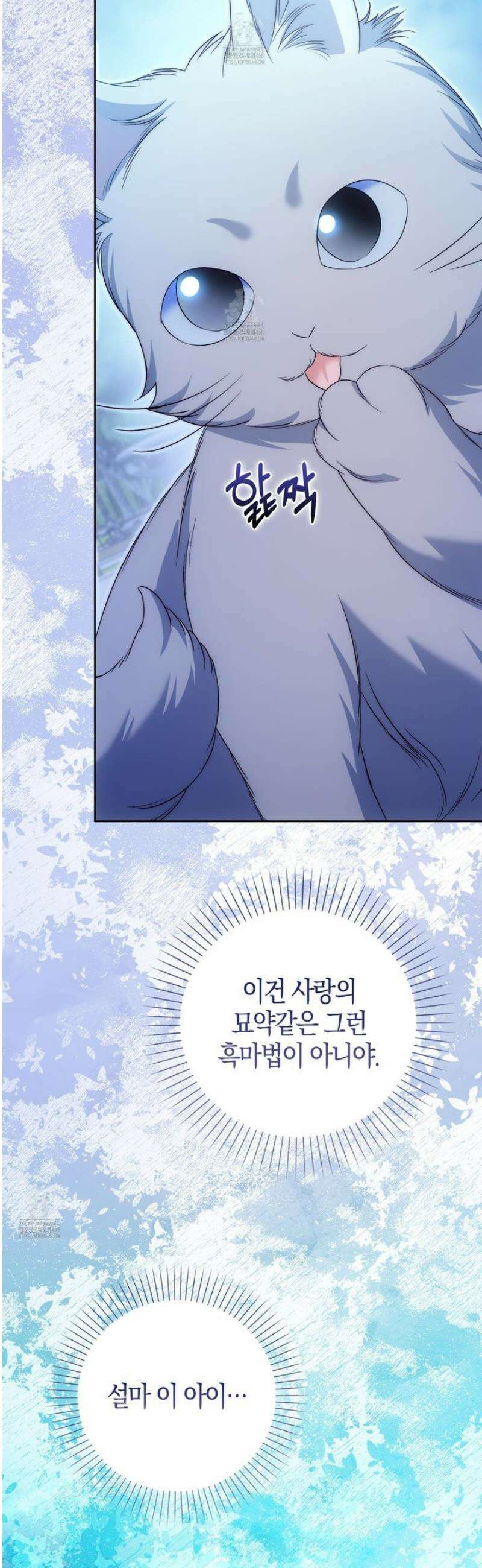 가짜 집착광공에게 집착하는 진짜들 29화 27
