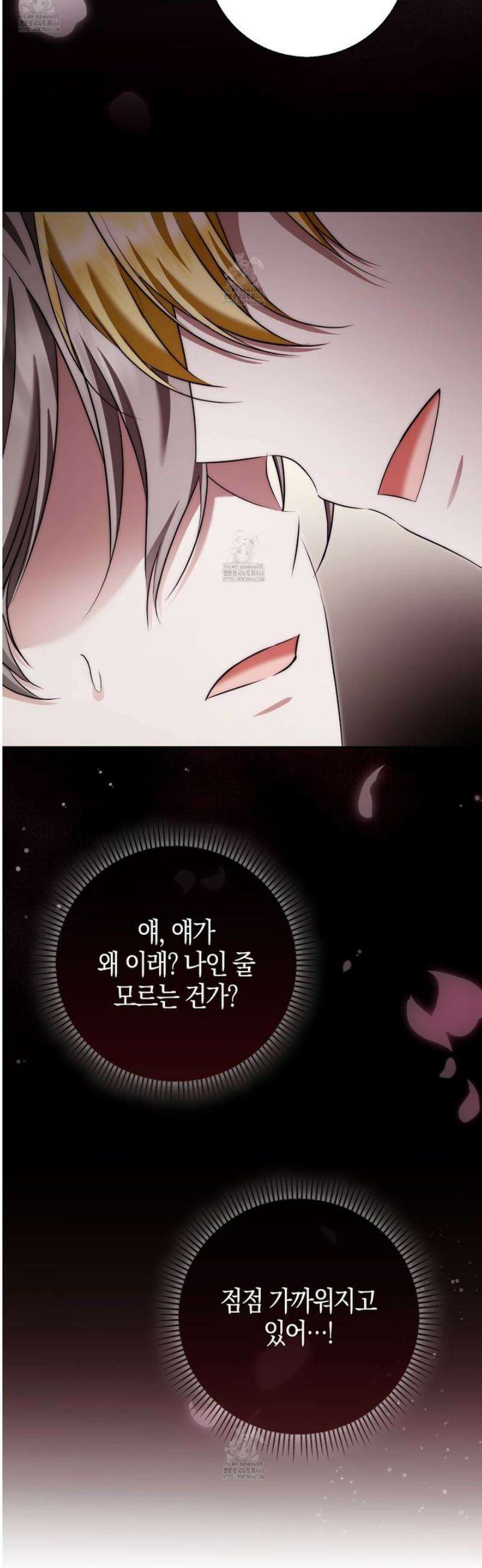 가짜 집착광공에게 집착하는 진짜들 29화 49