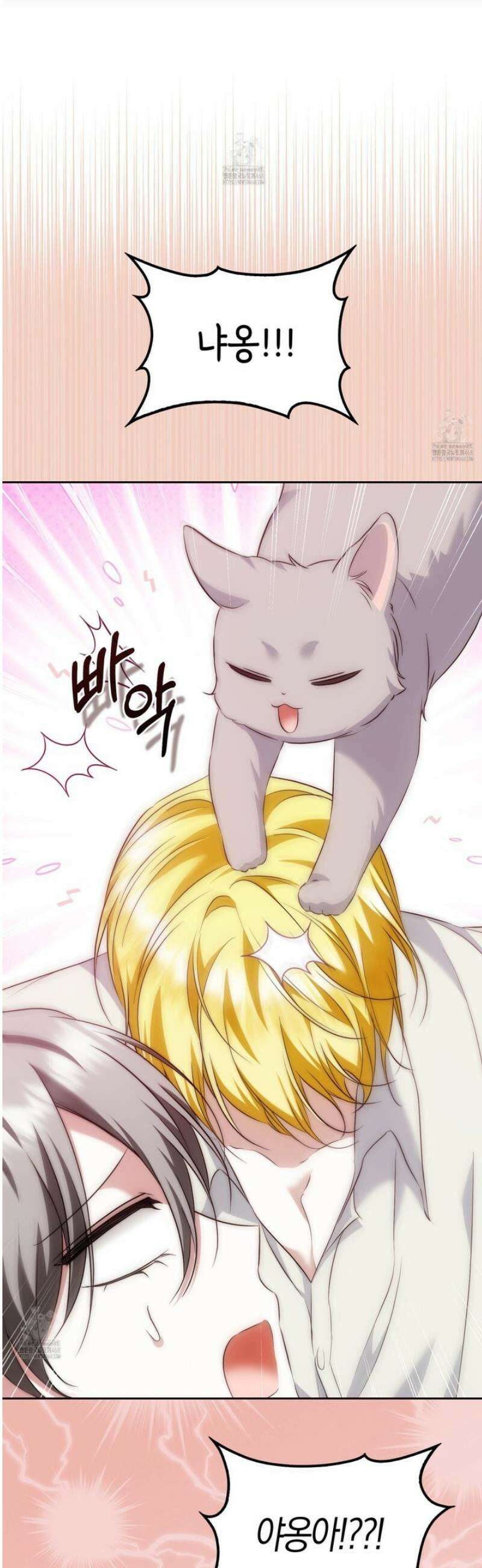 가짜 집착광공에게 집착하는 진짜들 29화 50