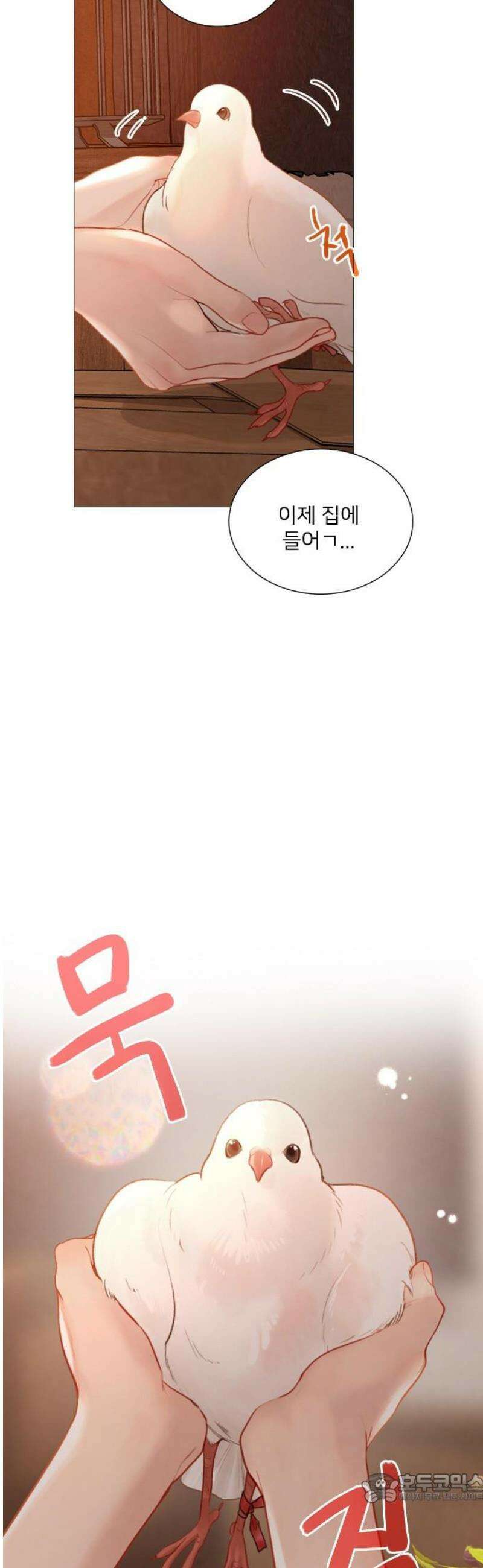 울어 봐,빌어도 좋고 63화 4