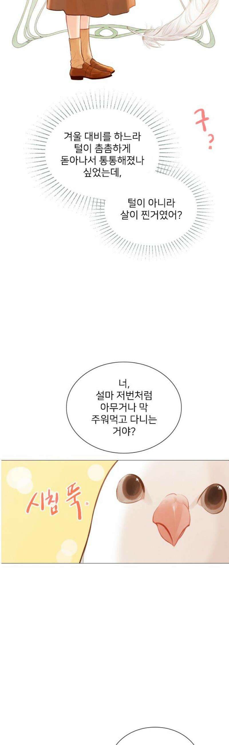 울어 봐,빌어도 좋고 63화 6