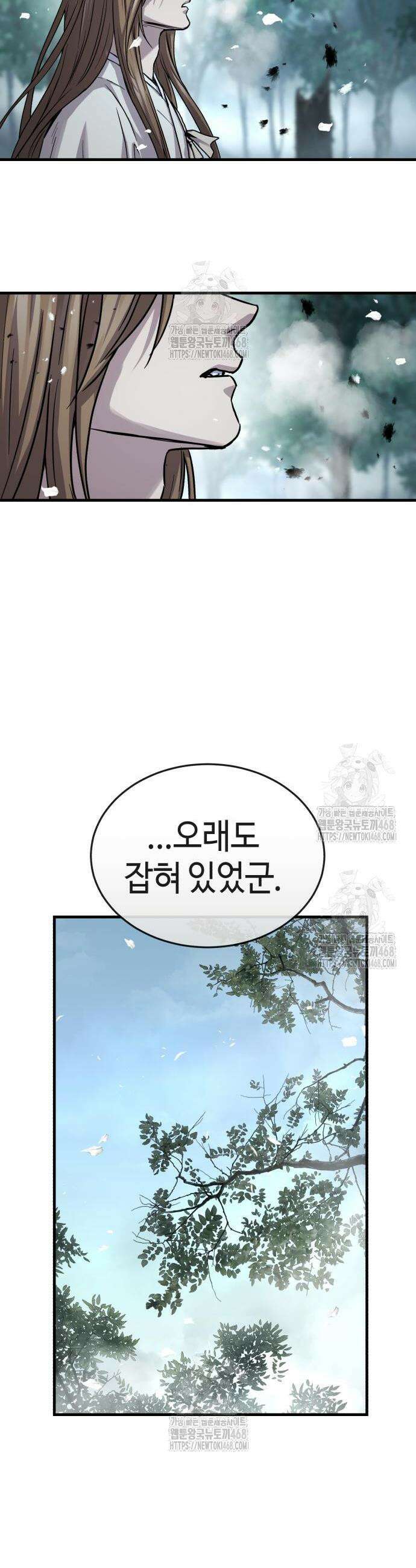 절대군림 62화 2