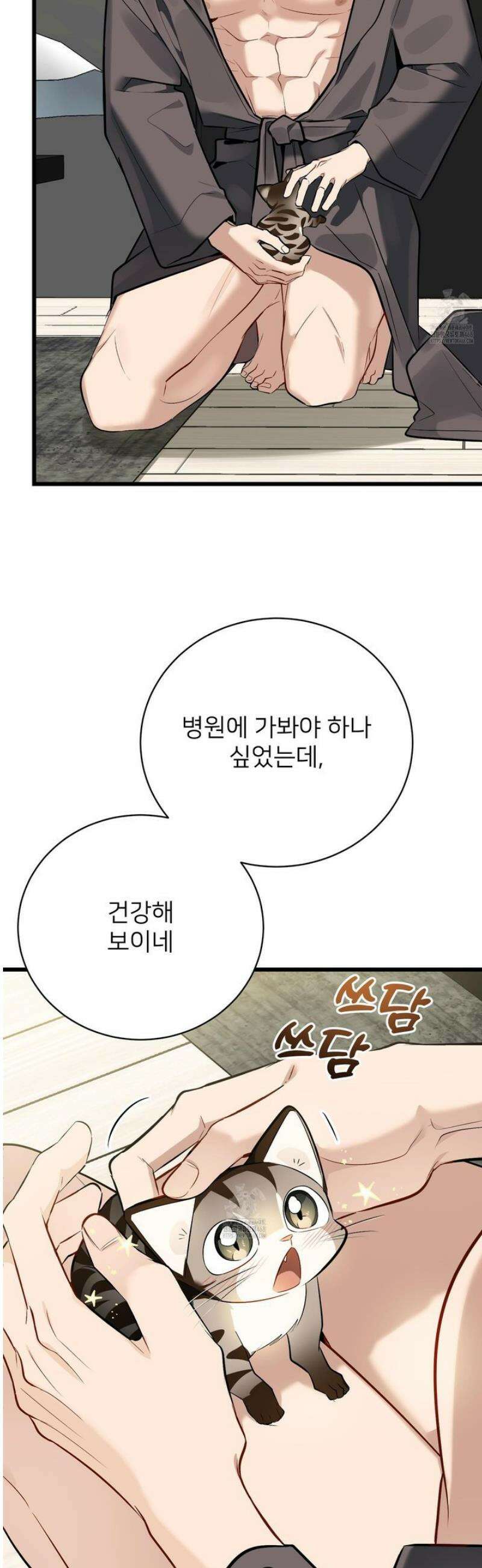 아기 삵을 낳아줘, 나 미치는 꼴 보기 싫으면! 3화 3