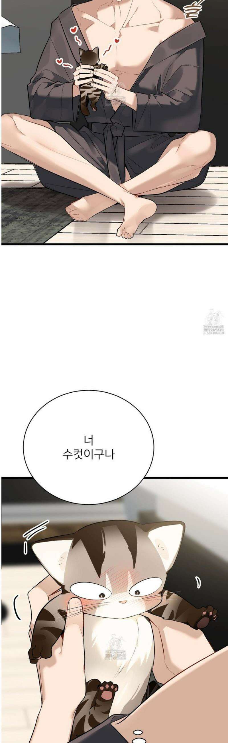 아기 삵을 낳아줘, 나 미치는 꼴 보기 싫으면! 3화 8