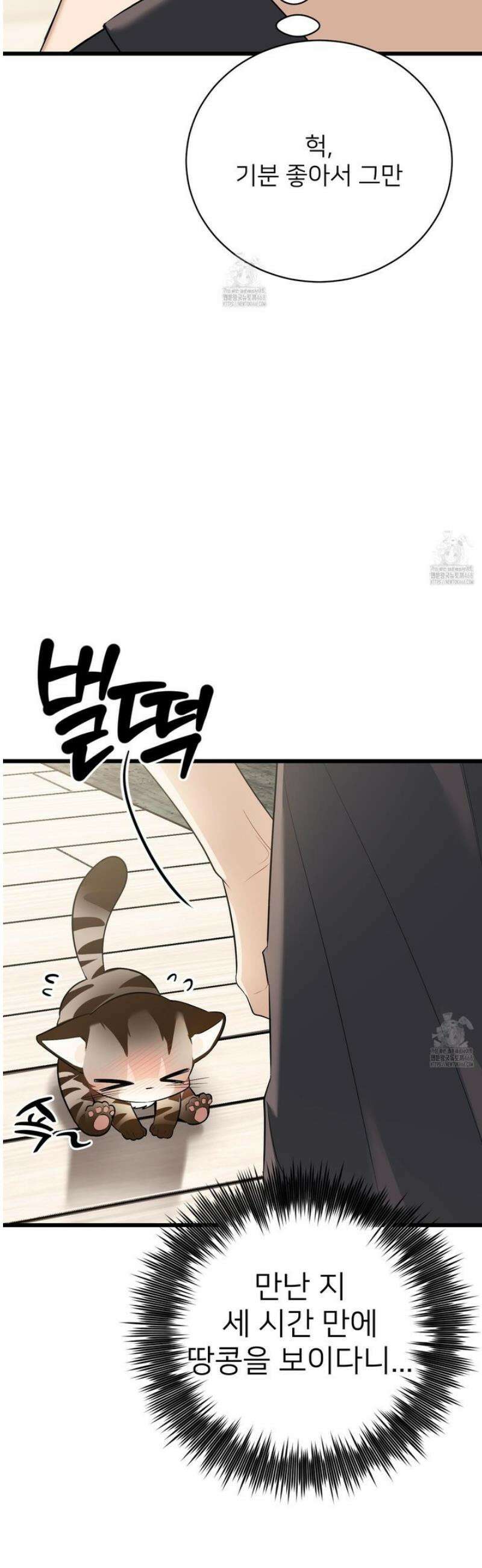 아기 삵을 낳아줘, 나 미치는 꼴 보기 싫으면! 3화 9