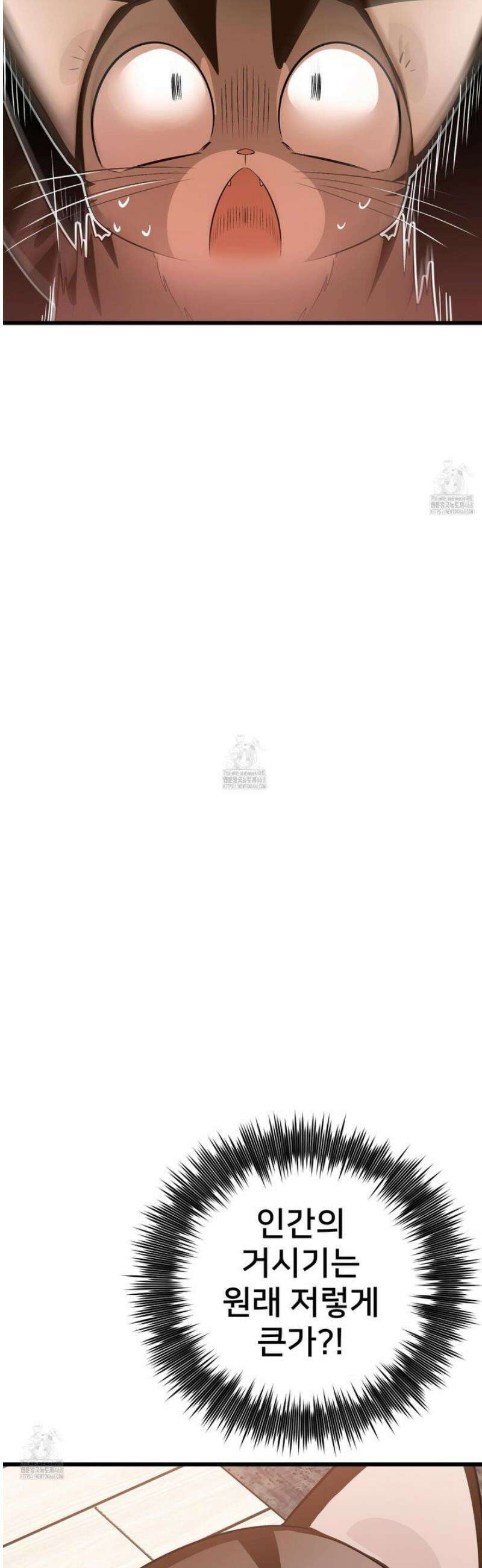 아기 삵을 낳아줘, 나 미치는 꼴 보기 싫으면! 3화 13