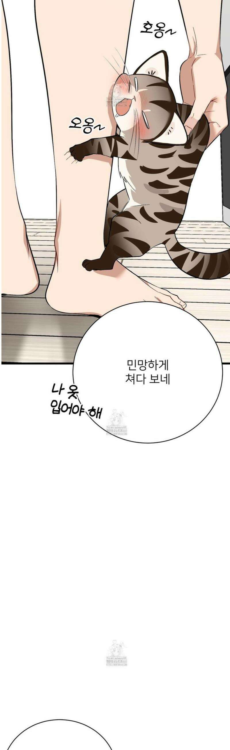 아기 삵을 낳아줘, 나 미치는 꼴 보기 싫으면! 3화 16