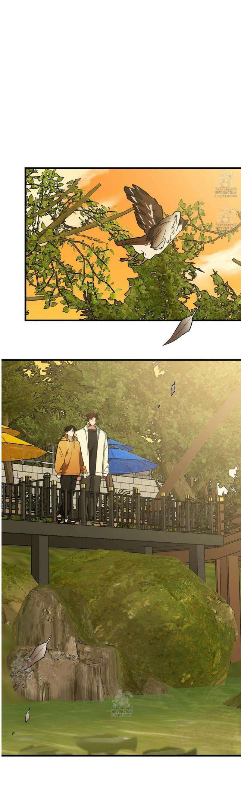아기 삵을 낳아줘, 나 미치는 꼴 보기 싫으면! 11화 10