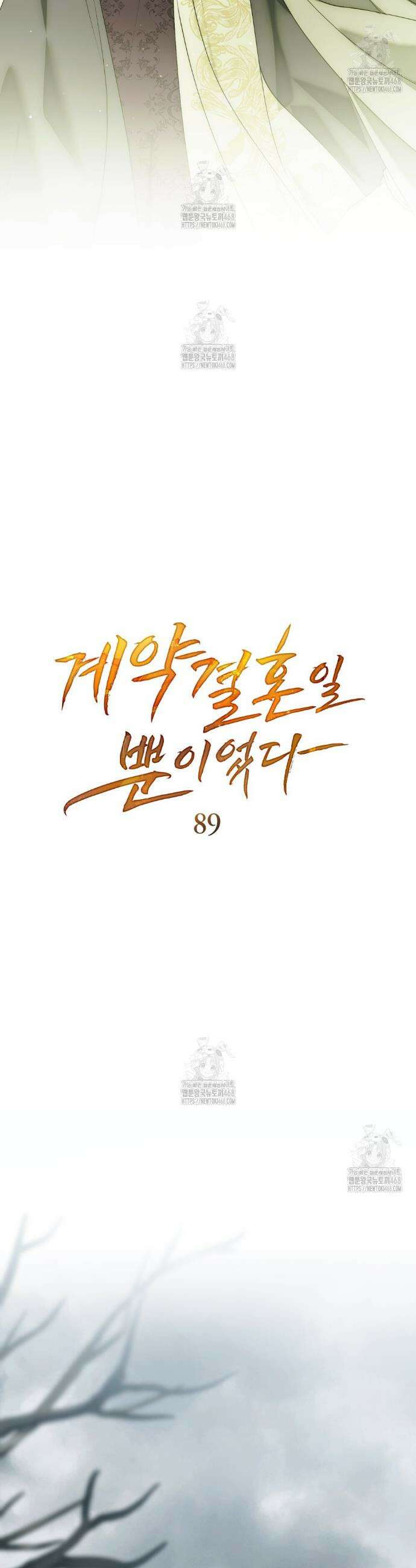계약 결혼일 뿐이었다 89화 8