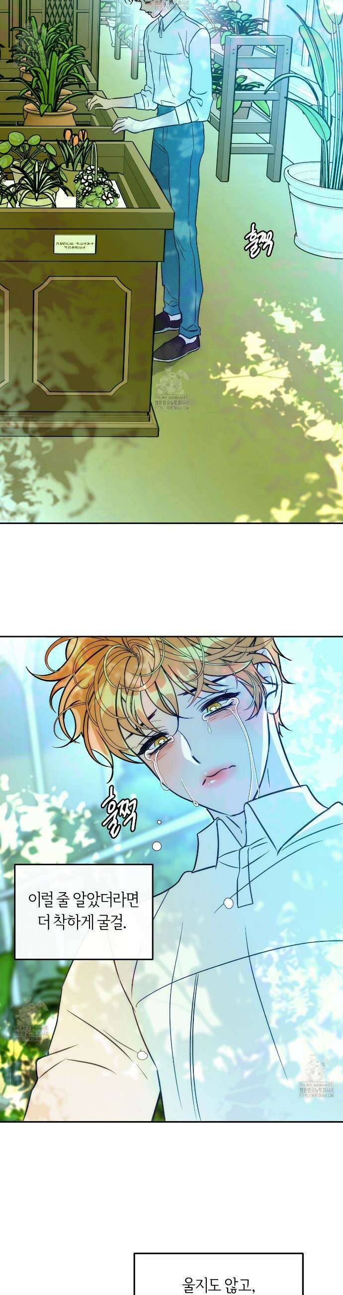 오르카 맨션 11화 29