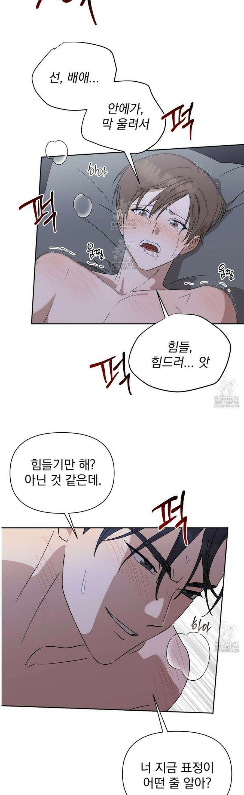끝내 닿는 봄 6화 2