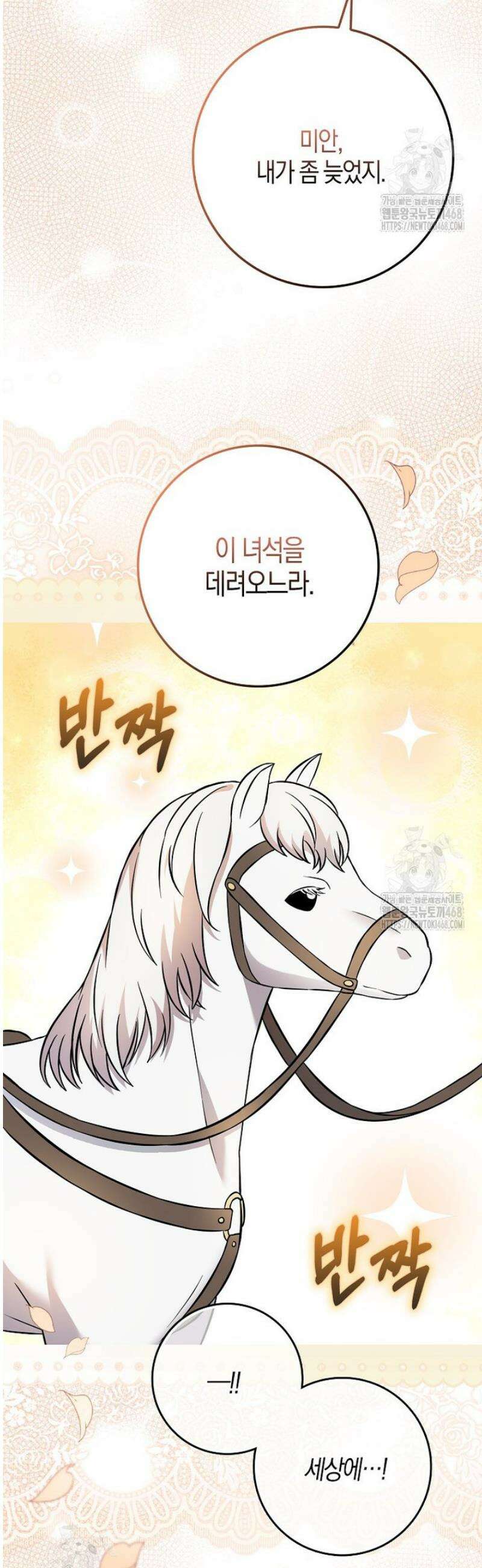 언젠가 도망칠 가짜 신부입니다 17화 25