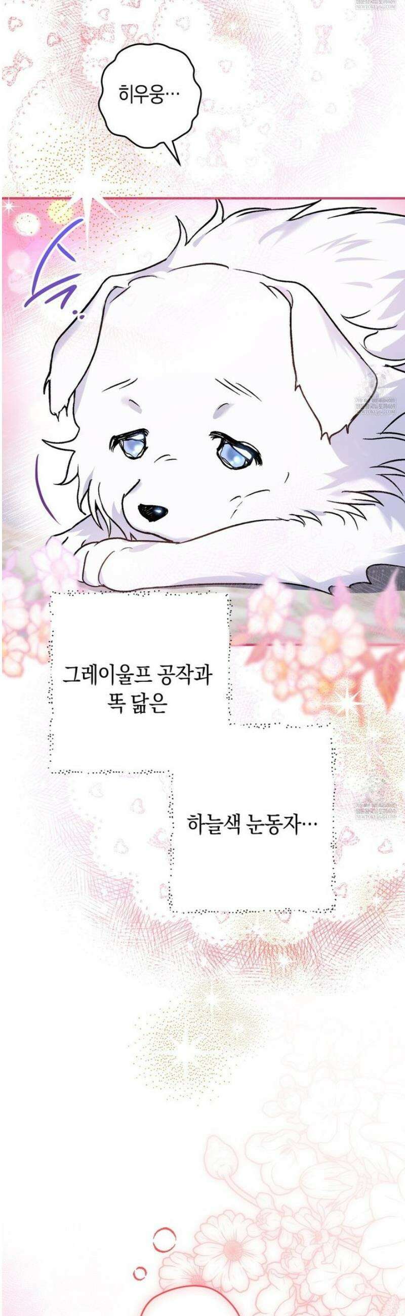 사랑하는 나의 늑대에게 1화 50