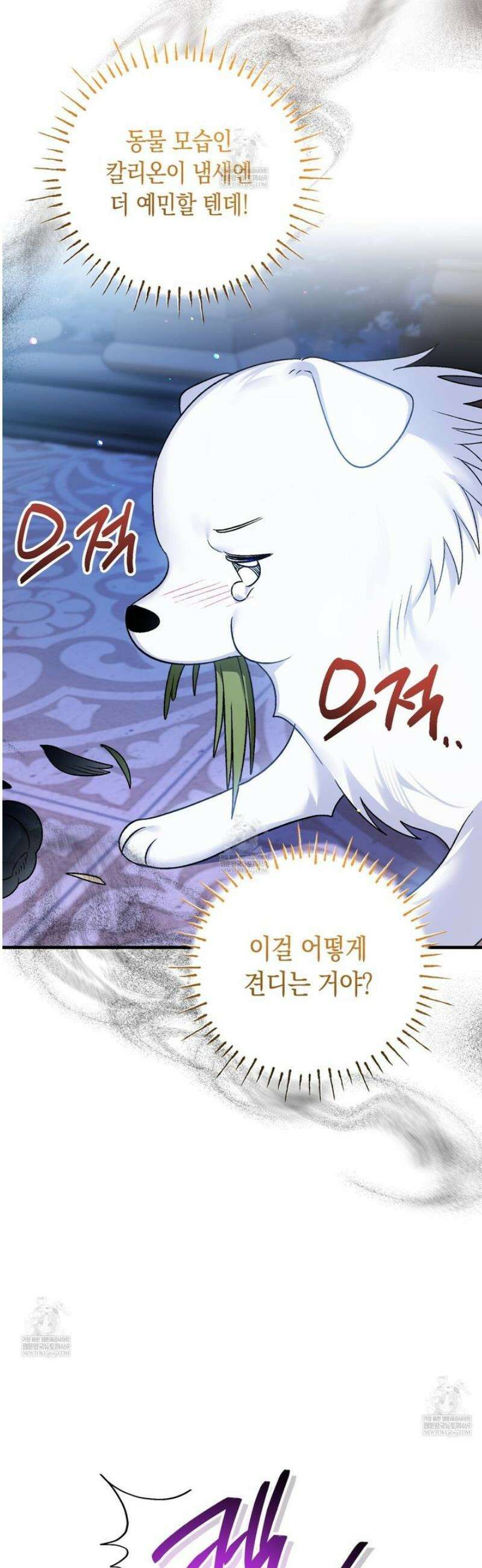 사랑하는 나의 늑대에게 6화 2
