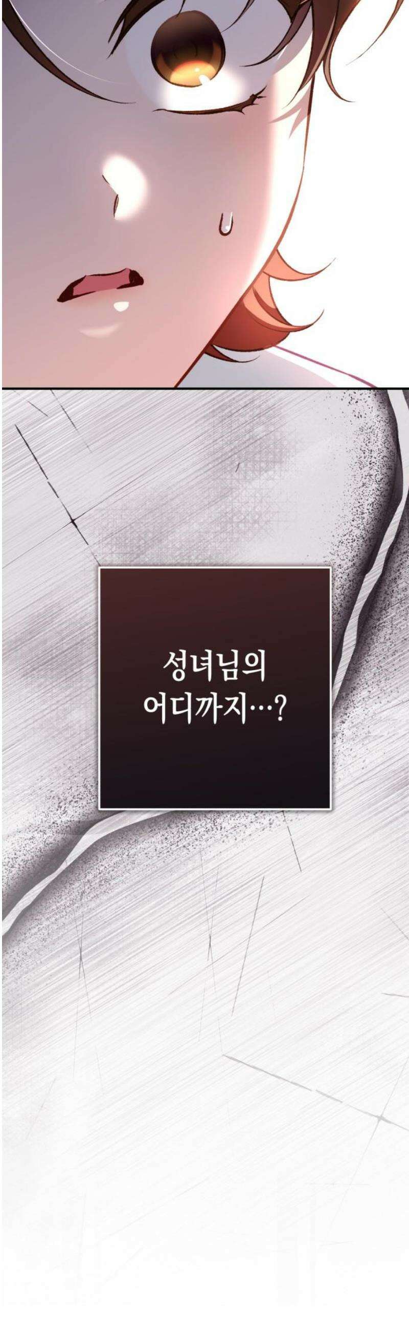 가짜 성녀를 지켜라 17화 3