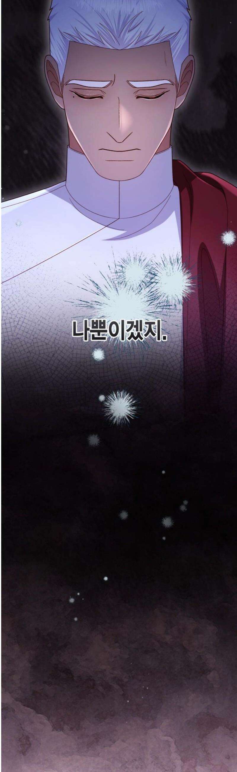 재혼 황후 239화 53