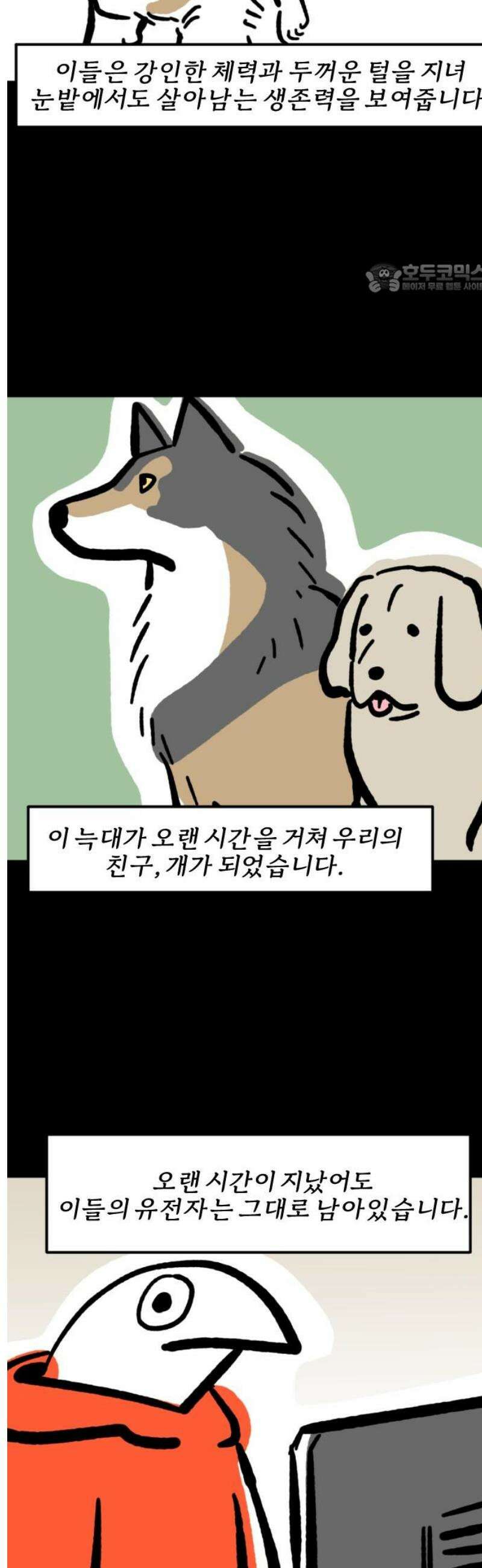 개집사 141화: 늑대의 후손 2