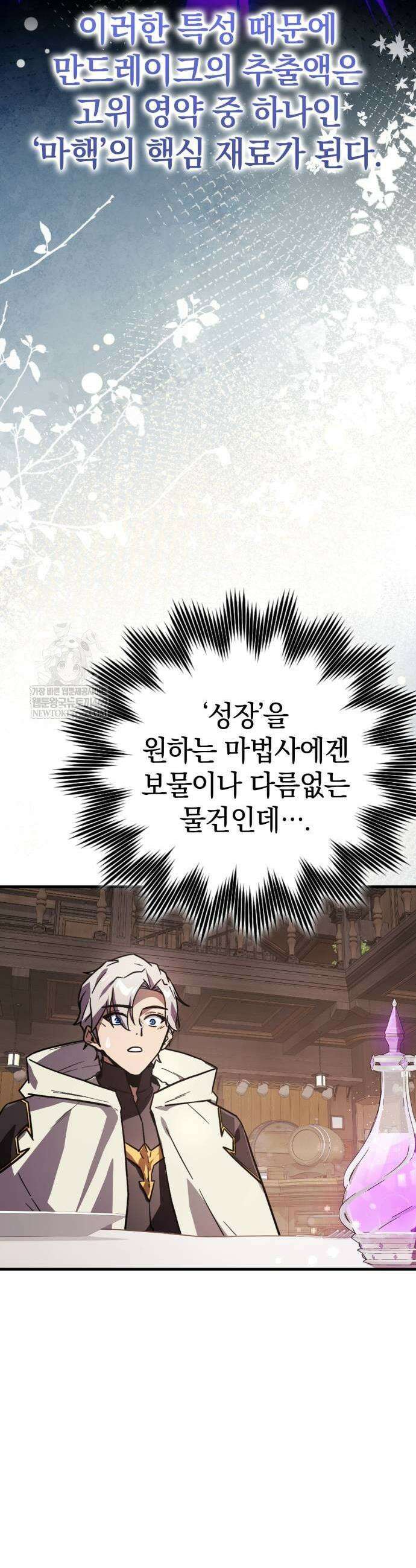 한계 찢는 천재마법사 36화 3
