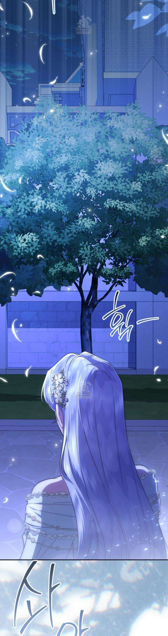 후원에 핀 제비꽃 81화 17