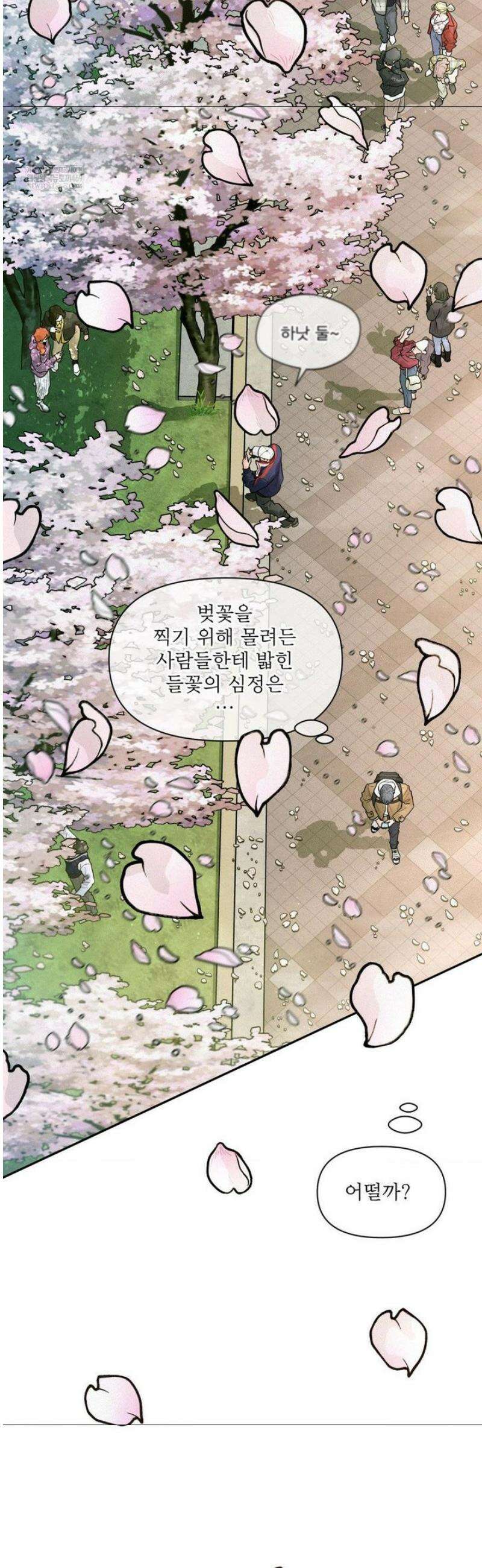 너는 나의 사랑스러운 카피캣! 13화 6