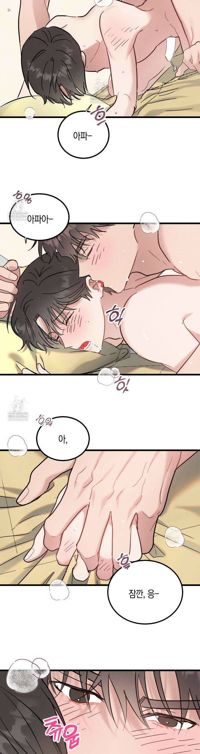 [아이돌 단편선] 나의 아이돌 8화 12