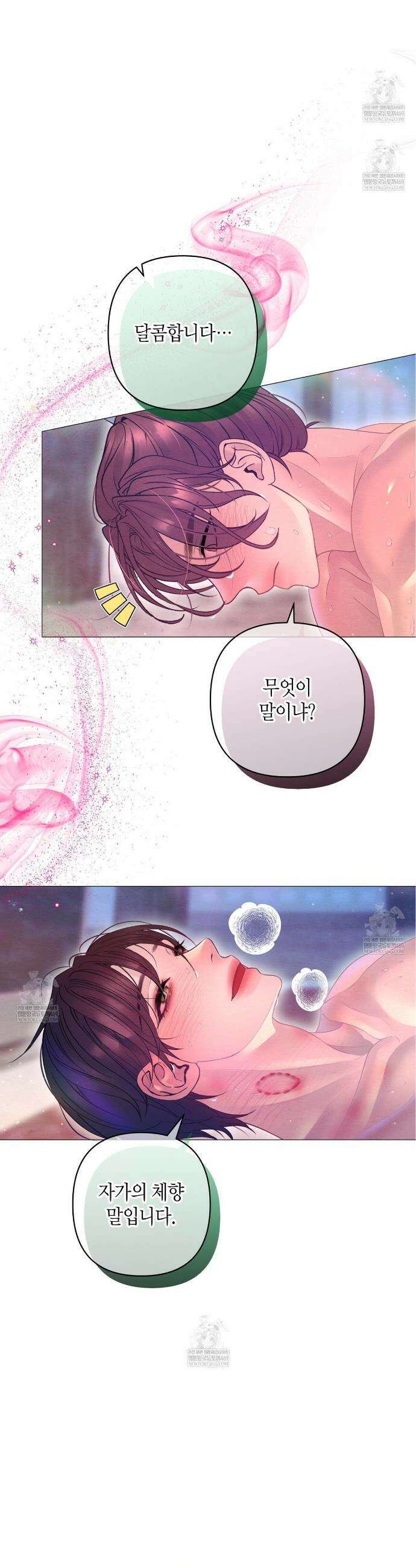 열락의 덫 77화 3