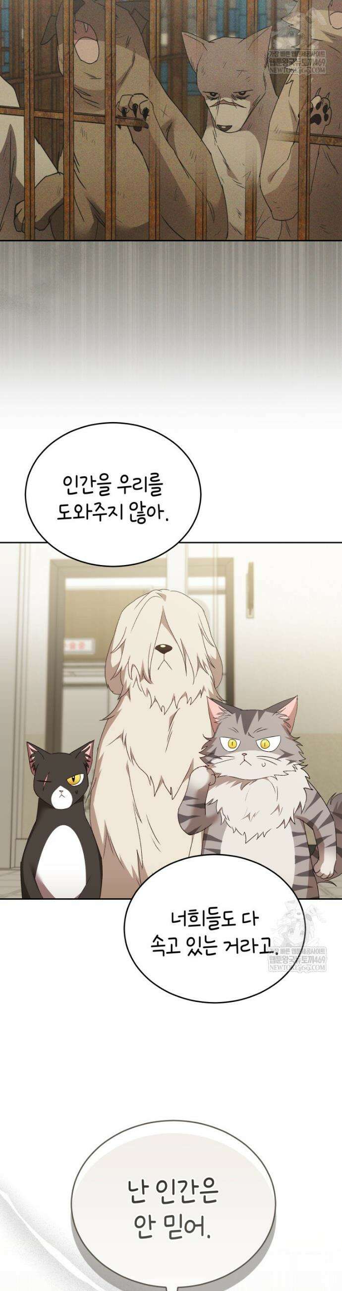 수의사님! 안녕하세요? 116화 11