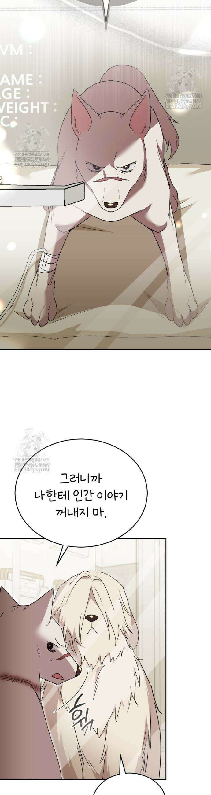 수의사님! 안녕하세요? 116화 12