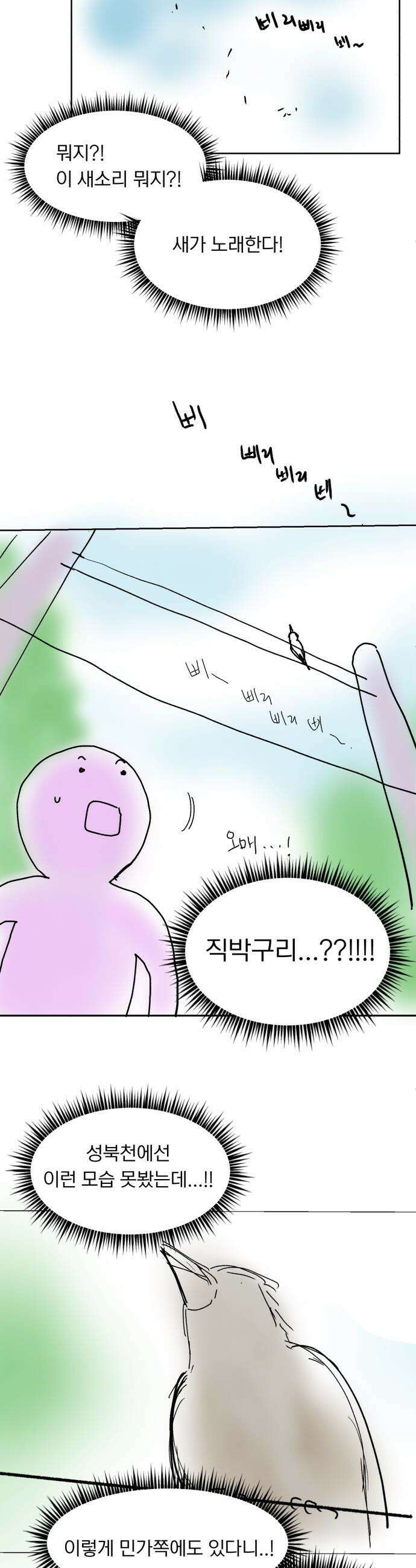 성북구 비둘기 이헌서 - 후기 3