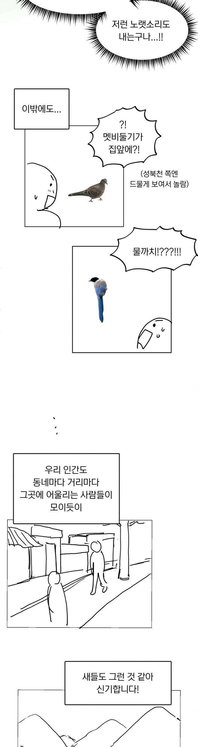 성북구 비둘기 이헌서 - 후기 4