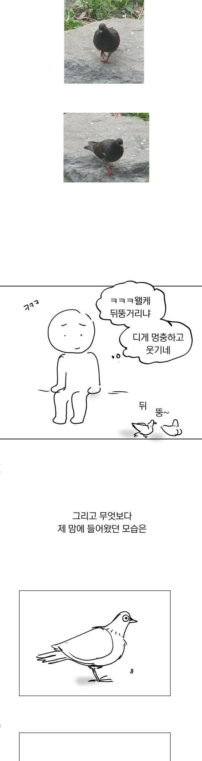 성북구 비둘기 이헌서 - 후기 13