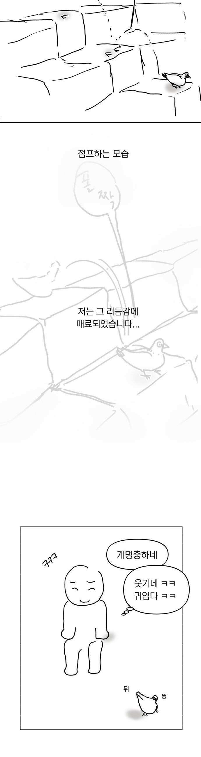 성북구 비둘기 이헌서 - 후기 15