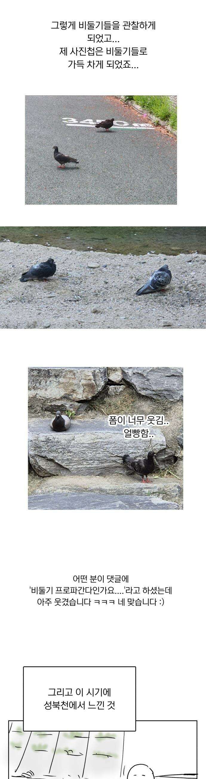 성북구 비둘기 이헌서 - 후기 16