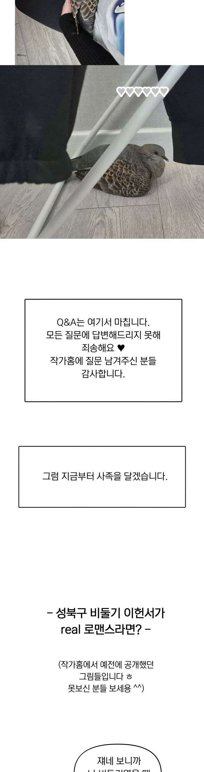 성북구 비둘기 이헌서 - 후기 27