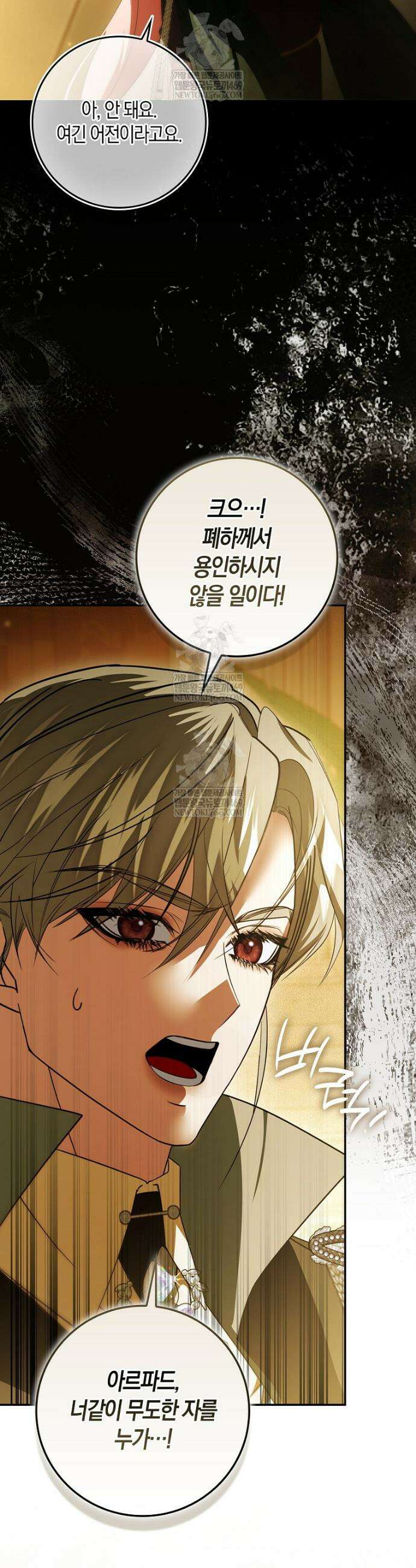약탈혼으로 남편부터 바꾸겠습니다 13화 9