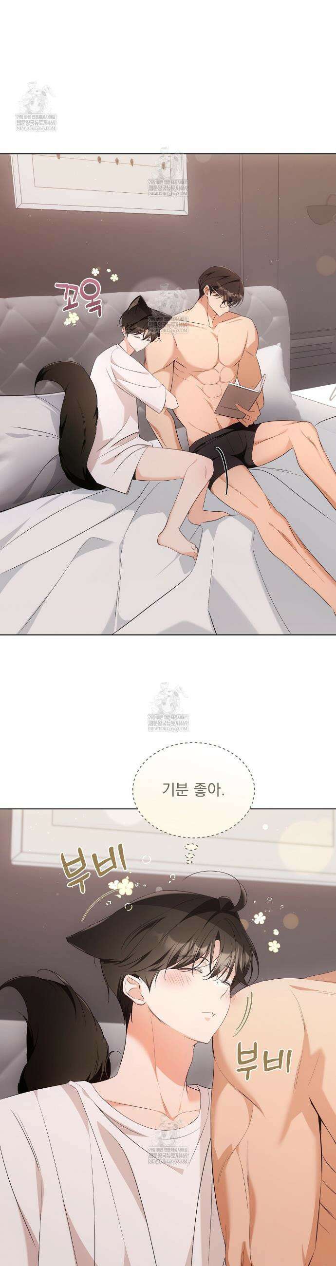 고양이 테라피 17화 3
