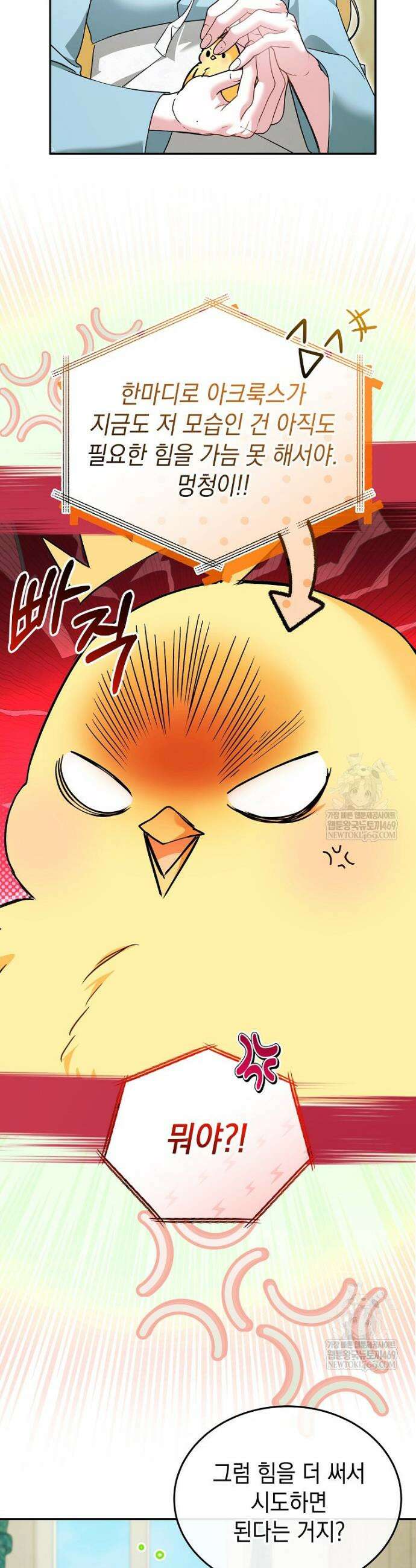 언니가 주인공인데요 70화 17